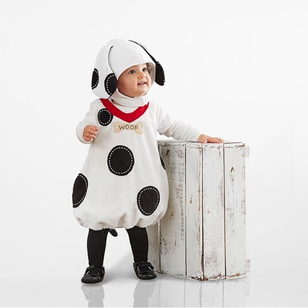 Pottery Barn Kids Baby Puppy Costume